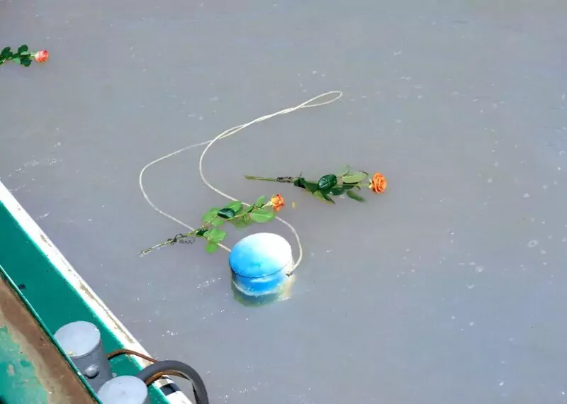 Rosen, die bei einer Bestattung ins Wasser geworfen wurden