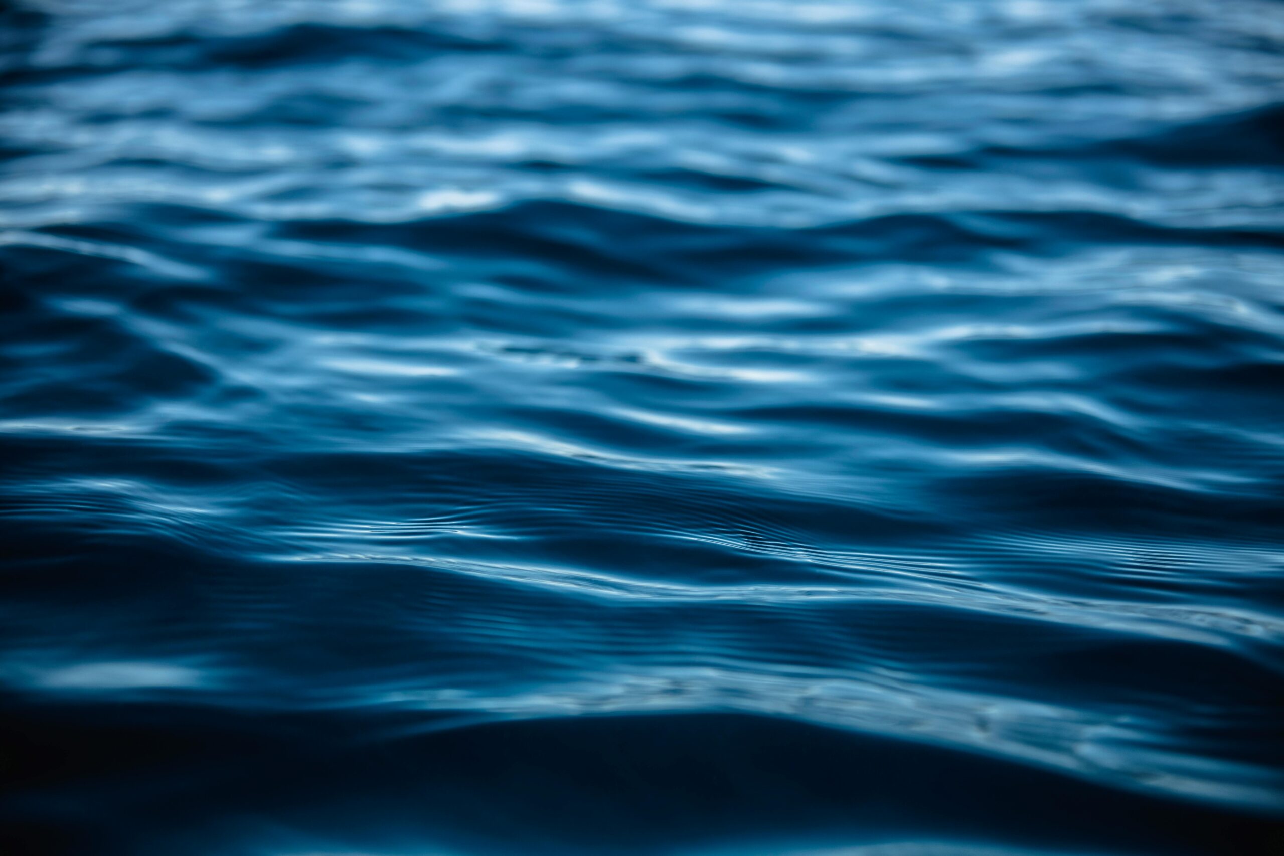 Wasserbestattung Bestattung Ried Wasser 2