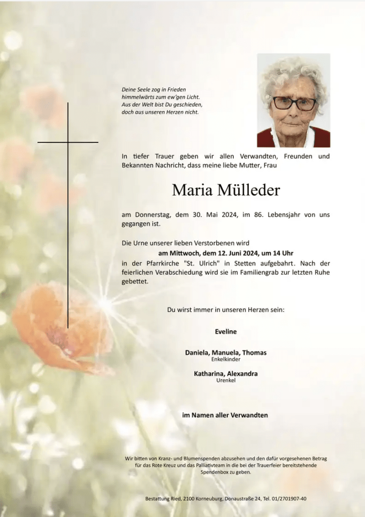 Bildschirmfoto 2024 06 23 um 19.45.45 723x1024 5